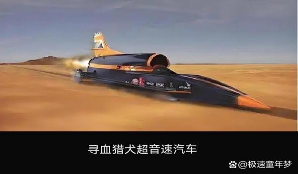 三角洲寻血猎犬是机器人吗(三角洲寻血猎犬是机器人还是玩家?) 三角洲寻血猎犬是机器人吗(三角洲寻血猎犬是机器人还是玩家?)